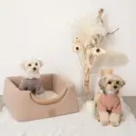 2wayペットハウス - 画像 (7)