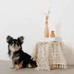 ドライフラワー用ウッドトールフラワーベース - 画像 (6)