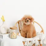 リーフ柄ウッド蓋ガラスキャニスター - 画像 (2)