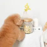 リーフ柄ウッド蓋ガラスキャニスター - 画像 (3)