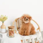 レトロ柄ウッド蓋ガラスキャニスター - 画像 (4)