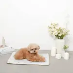 tomboniaコラボひんやりジェルマット - 画像 (6)