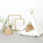 クッション付テントハウス - 画像 (2)