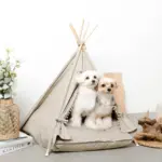 クッション付テントハウス - 画像 (4)