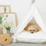 クッション付テントハウス - 画像 (5)