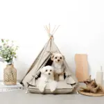 クッション付テントハウス - 画像 (6)