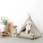 クッション付テントハウス - 画像 (8)