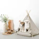 クッション付テントハウス - 画像 (10)