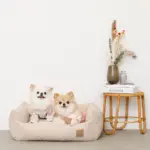 ドットヤーンキルティングクッションベッド - 画像 (3)