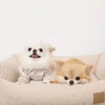 ドットヤーンキルティングクッションベッド - 画像 (4)