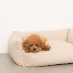 ドットヤーンキルティングクッションベッド - 画像 (6)