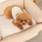 ドットヤーンキルティングクッションベッド - 画像 (8)