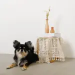 ドライフラワー用ウッドミニフラワーベース - 画像 (5)