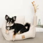 ストライプふんわりドライブペットベッド - 画像 (3)