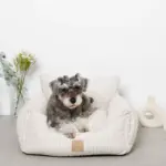 ストライプふんわりドライブペットベッド - 画像 (6)