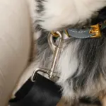 ストライプふんわりドライブペットベッド - 画像 (8)