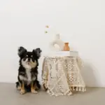 カーブサークルフラワーベース - 画像 (6)