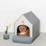 エコレザー組み立てハウス クッション付き - 画像 (2)