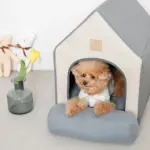 エコレザー組み立てハウス クッション付き - 画像 (4)