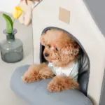 エコレザー組み立てハウス クッション付き - 画像 (5)