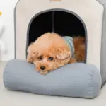 エコレザー組み立てハウス クッション付き - 画像 (6)