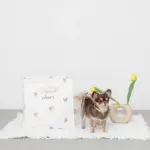 キルティング刺繍マルチボックス【名入れ刺繍対応】 - 画像 (3)