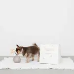 キルティング刺繍マルチボックス【名入れ刺繍対応】 - 画像 (7)