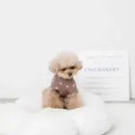 ファーフラワークッションベッド - 画像 (8)