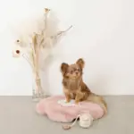 ファーフラワーペットベッドマット - 画像 (3)