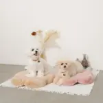 ファーフラワーペットベッドマット - 画像 (5)