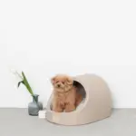 エコレザー洞窟ハウス - 画像 (2)