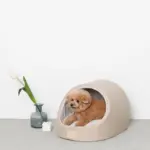 エコレザー洞窟ハウス - 画像 (3)