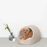 エコレザー洞窟ハウス - 画像 (4)