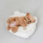 くまさんフェイスドッグベッド - 画像 (7)