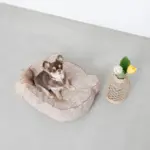 くまさんフェイスドッグベッド - 画像 (9)