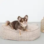 くまさんフェイスドッグベッド - 画像 (10)