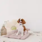 リブフラワークッション - 画像 (9)