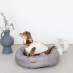 グラフチェッククッションベッド(ピローセット) - 画像 (3)