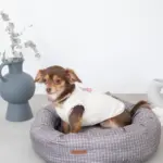 グラフチェッククッションベッド(ピローセット) - 画像 (6)