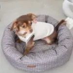 グラフチェッククッションベッド(ピローセット) - 画像 (9)