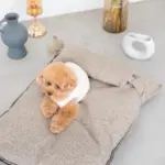 メランジペットマットベッド - 画像 (6)