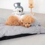 メランジペットマットベッド - 画像 (10)