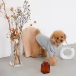 ウッドセミサークルトレイ - 画像 (3)