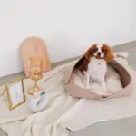 ウッドセミサークルトレイ - 画像 (4)