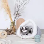 ドーム型ボアハウス - 画像 (2)