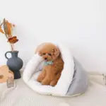 ドーム型ボアハウス - 画像 (3)