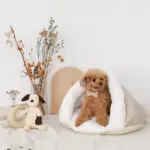 ドーム型ボアハウス - 画像 (5)