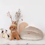 ドーム型ボアハウス - 画像 (7)