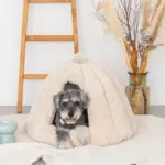 ドーム型セミクローズドペットハウス クッション付 - 画像 (2)