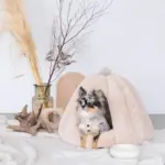 ドーム型セミクローズドペットハウス クッション付 - 画像 (5)